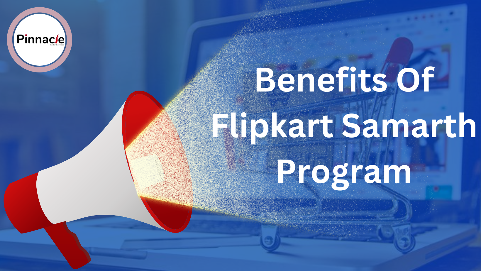 Flipkart Samarth Program