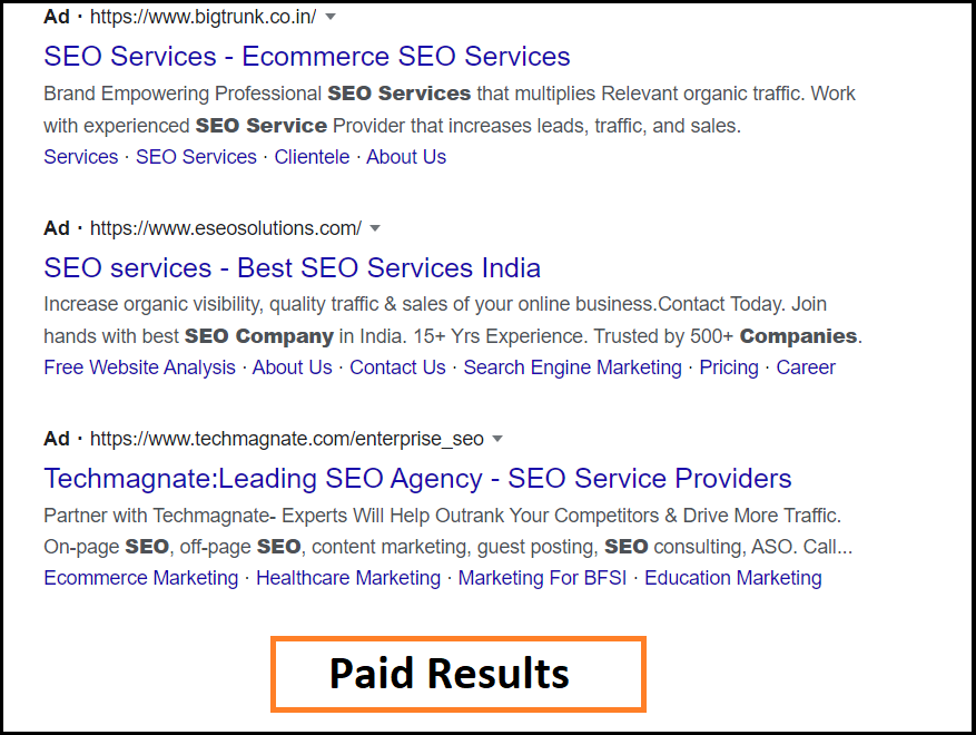 SEO Paid Results